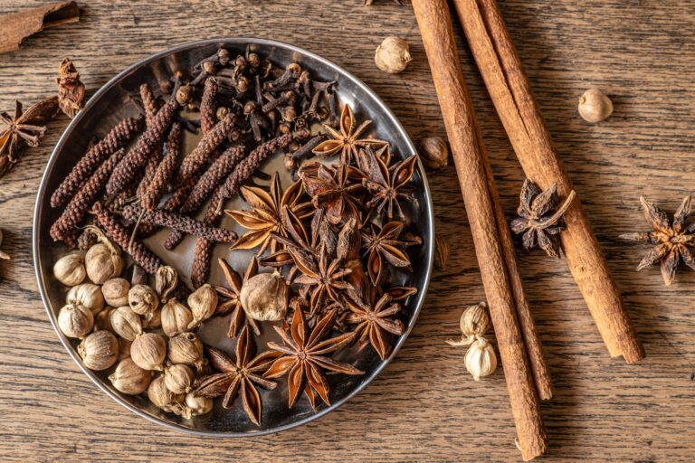 What are spices and where do they come from?